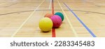 Small photo of view of colorful rubber balls on the wooden floor of a gymnasium