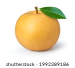 Snow pear or nashi pear (Golden pear} with green leaf isolated on white background.