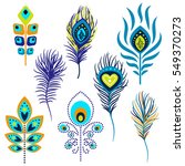 Peacock Feathers Vector...