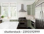 Small photo of A kitchen detail with sage green cabinets, a gold faucet on an apron sink, brown tiled backsplash, and stainless steel appliances.