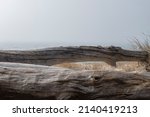 Pieces Of Driftwood On The Beach