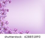 Blurred Purple Lilac Background