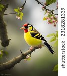 Beautiful goldfinch bird in...