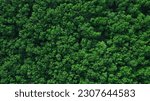 Small photo of Aerial view of forest,ecosystem and healthy environment. Texture of green tree forest.