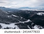 Ski slope in aerial view. Aerial view snowy pines in the mountains. Amazing nature scenery in winter mountain.