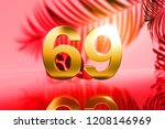gold isolated number 69 on red... | Shutterstock . vector #1208146969