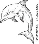 A Bottlenose Dolphin. Hand...