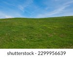 View of rolling green hills and blue sky in the spring season, Italy