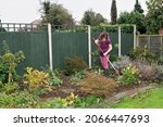 Small photo of A good autumnal hoe is great exercise and makes the garden look much better throughout winter, whilst new weeds wait, until next spring.