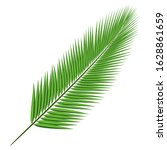 coconut tree branch isolated on ... | Shutterstock .eps vector #1628861659