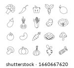 hand drawn vegetables  broccoli ... | Shutterstock .eps vector #1660667620