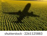 Shadow of the plane on the...