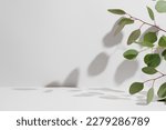 Green eucalyptus branch with shadows on empty light grey background. Backdrop for natural product presentation. Eco beauty cosmetic advertising display mockup. Minimal still life scene. Front view.