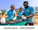 Small photo of Team of ecologist volunteer pulling non biodegradable micro plastic from the endanger species fish due to the irresponsible waste littering into the ocean for climate change and saving nature concept