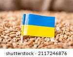 Flag of ukraine on wheat....