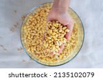 Small photo of soybean in hand, soaked soybean in a glass bowl, soya bean soaking