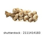 Small photo of Braided garlic bulbs bonded with jute rope ready for storage isolated on white background