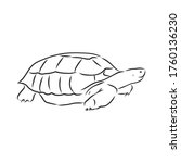 graphical tortoise isolated on... | Shutterstock .eps vector #1760136230