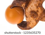 Small photo of Egg clacking in rusty pliers