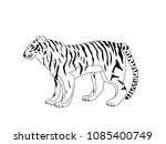 hand drawn isolated tiger... | Shutterstock .eps vector #1085400749