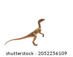 Small photo of Compsognathus or Compy. The smallest carnivore of the genus of dinosaurs. Isolate