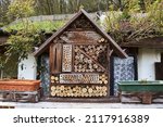 View To An Insect House In The...