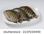 Small photo of Fresh raw Kari meen_Pearl spot fish arranged in awhite ceramic plate.