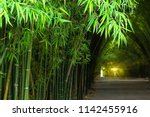 Closeup Bamboo Forest With...