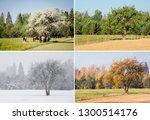 Beautiful Collage Of 4 Seasons...