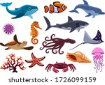 set of sea creatures. isolated... | Shutterstock .eps vector #1726099159