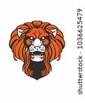vector of the lion's head | Shutterstock .eps vector #1036625479