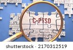 C Ptsd As A Complex And...