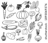 vector set with doodle drawings ... | Shutterstock .eps vector #1893069376