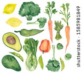 watercolor organic vegetables... | Shutterstock . vector #1585981849