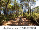 Small photo of Two mountain bikes in forest. Riding bikes in Karia Way, Datca / Turkey.