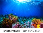 Ocean coral reef underwater....