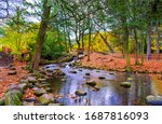 Autumn River Creek In Forest...