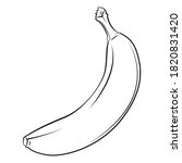 banana in outline vector... | Shutterstock .eps vector #1820831420