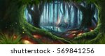 Fantasy Forest Magic Dark Night ...