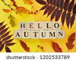 hello autumn greetings words on ... | Shutterstock . vector #1202533789