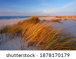Dunes On The Coast Of The...