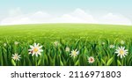 horizontal daisies field landscape. green Summer scene with white flowers, grass. sunny idyllic realistic spring background with daisies, green meadows, rural fields, valleys. blue sky, fluffy clouds
