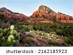 Cactus desert in the canyon. Canyon desert with cactuses. Canyon cactus desert landscape. Red canyon desert scene
