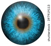 Eye Iris Vector Texture