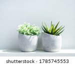 Concrete pots. Modern geometric cement planters with white flowers and green succulent plant on white wood shelf on white background.