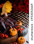 Small photo of Beautiful red, yellow and orange coloured flowers standing on the table with tiny decorative oriental pumpkins, making autumn outlay, vertical photo