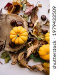 Small photo of Beautiful autumn themed outlay: small orange pumpkins, autumn leaves, chestnuts, wooden slab on the white background, top view, flat lay