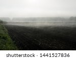 Foggy Agricultural Fields ...