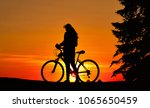 silhouettes of girl with... | Shutterstock . vector #1065650459