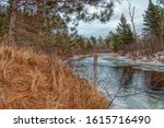 Chequamegon-Nicolet is a National Forest in Northern Wisconsin